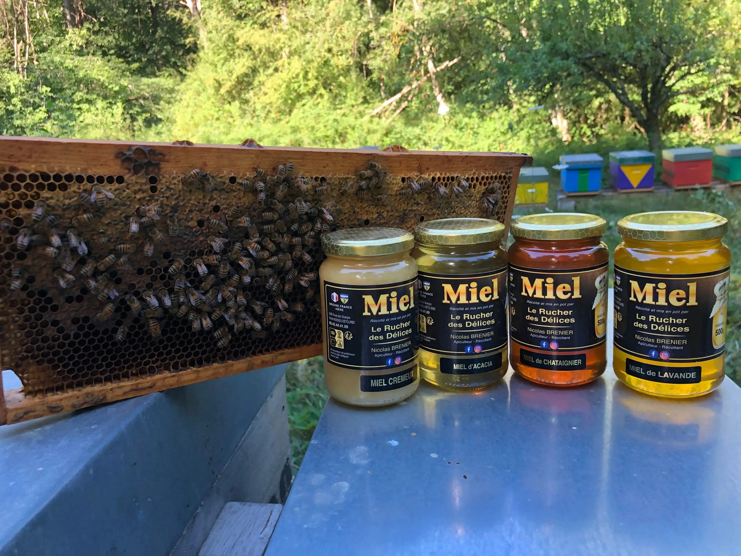 Miel de lavande, châtaignier, acacia et crémeux avec ruche et abeilles en Isère
